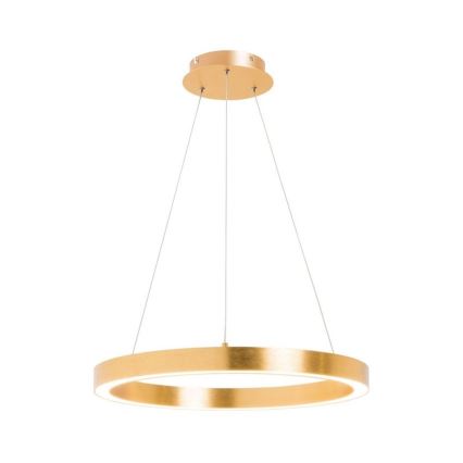 Zuma Line - LED Hanglamp aan een koord 1xLED/30W/230V 40 cm goud