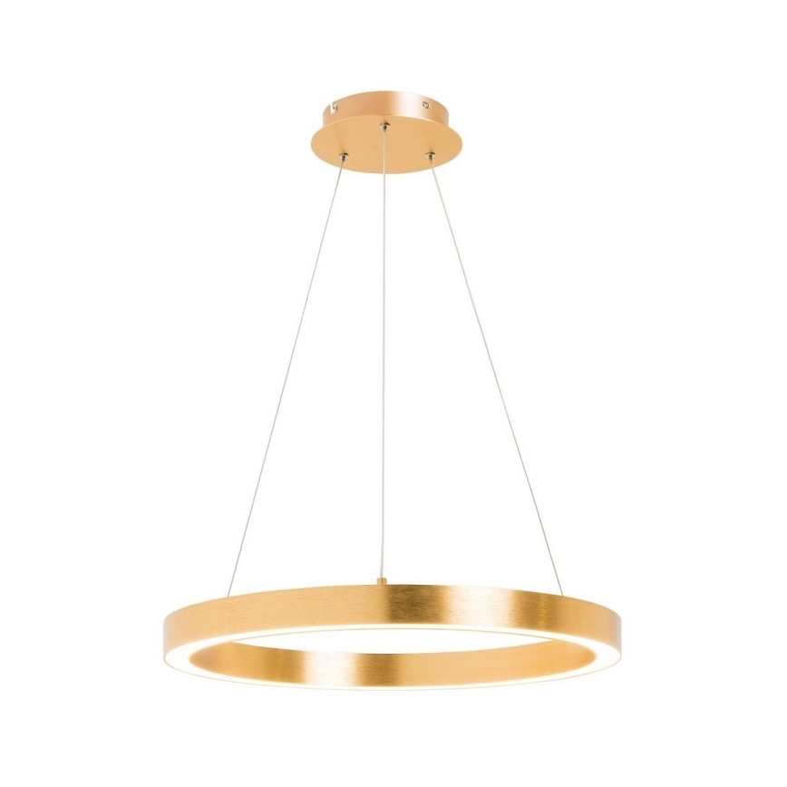 Zuma Line - LED Hanglamp aan een koord 1xLED/40W/230V 50 cm goud