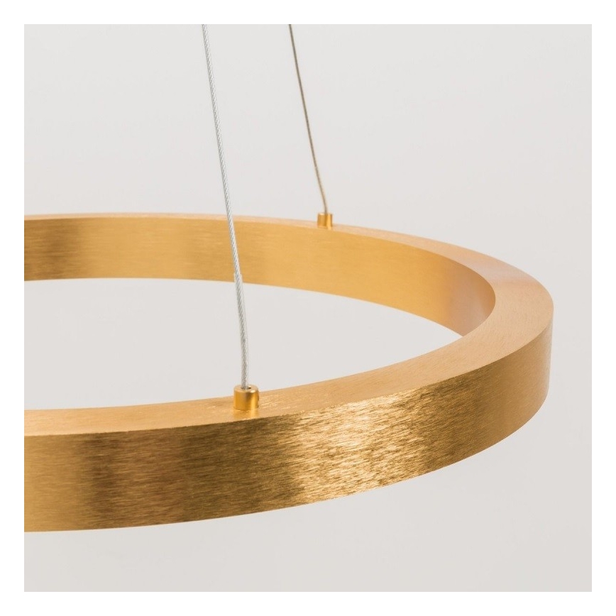 Zuma Line - LED Hanglamp aan een koord 1xLED/40W/230V 50 cm goud