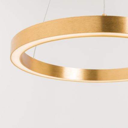 Zuma Line - LED Hanglamp aan een koord 1xLED/40W/230V 50 cm goud