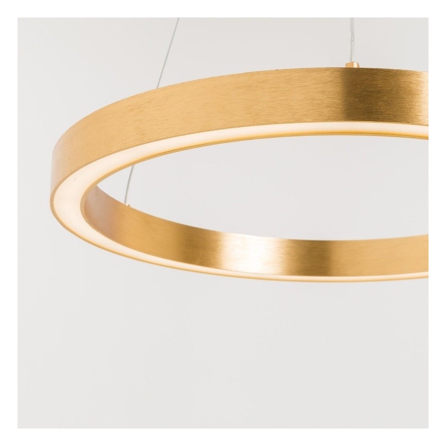 Zuma Line - LED Hanglamp aan een koord 1xLED/40W/230V 50 cm goud