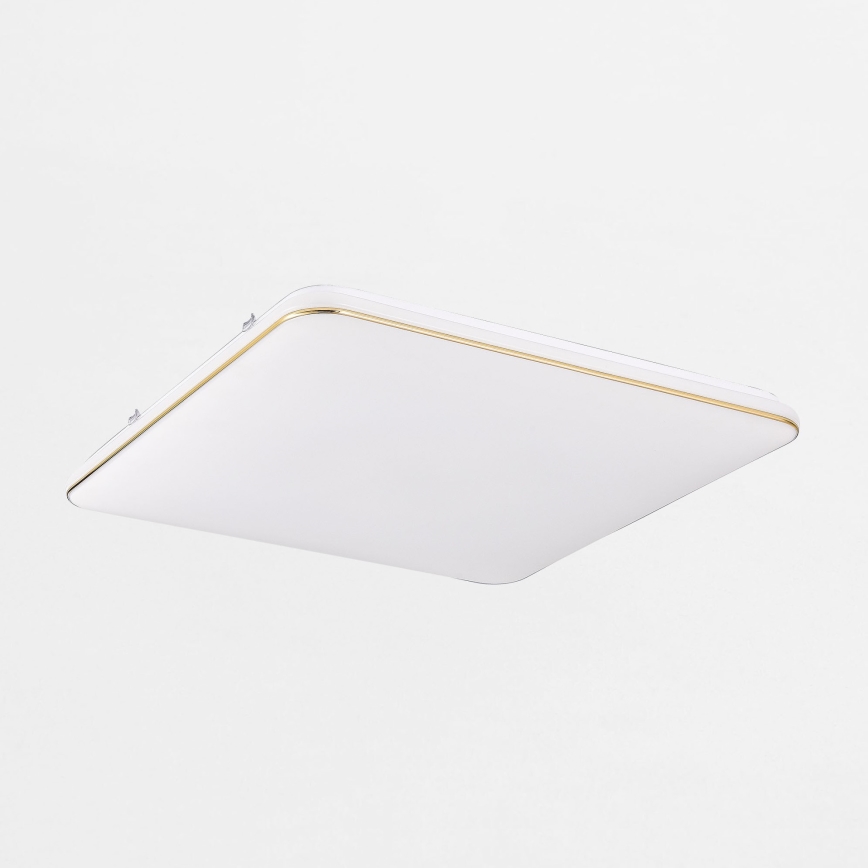 Zuma Line - Plafonnier à intensité variable LED/48W/230V 53x53 cm doré