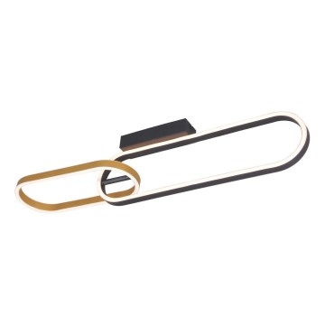 Zuma Line - Plafonnier LED 2xLED/24W/230V noir/doré