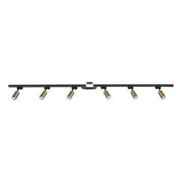 Zuma Line - Spot in een rail systeem 6xGU10/35W/230V zwart/goud