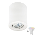 Zuma Line - Spot LED RGBW dimmable 1x GU10/6W/230V blanc + télécommande