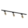 Zuma Line - Spotlicht in geleidingsysteem 3xGU10/35W/230V zwart/goud