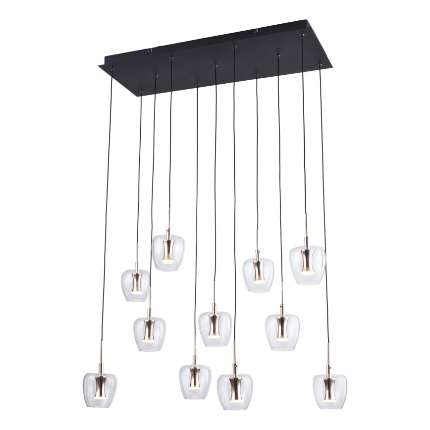 Zuma Line - Suspension LED sur câble 11xLED/3W/230V noire