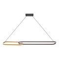Zuma Line - Suspension LED sur câble 2xLED/40W/230V noir/doré