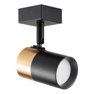 Zuma Line - Wandspot 1xGU10/50W/230V zwart/goud