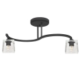 Zwarte Doorzichtige Opbouw plafondlamp SANTOS 2x E27 / 60W / 230V