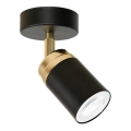 Zwarte Goudkleurige Spot Verlichting RENO 1x GU10 / 60W / 230V
